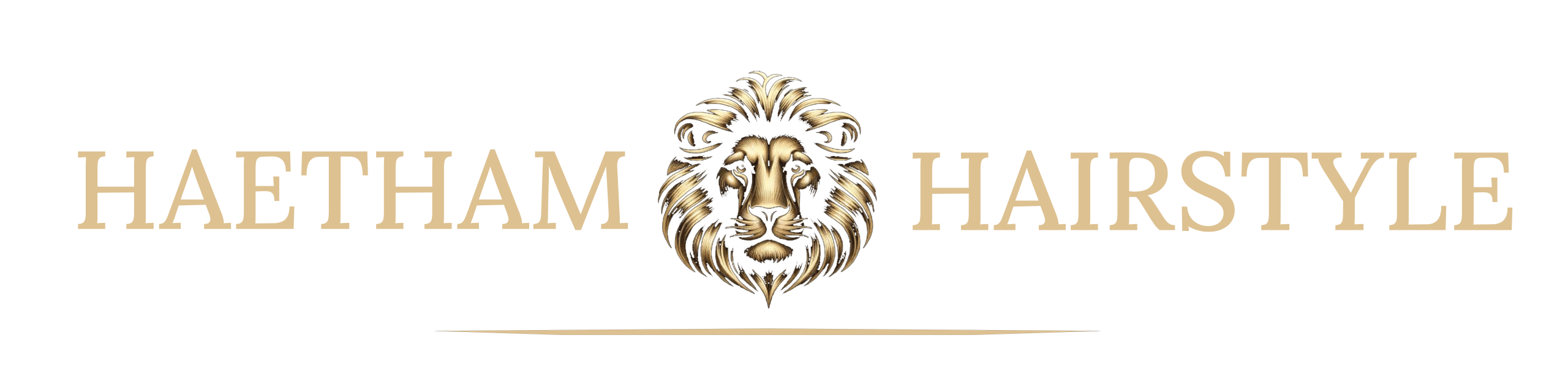 Haetham Hairstyle Logo – Friseur in Siegburg, Much und Seelscheid